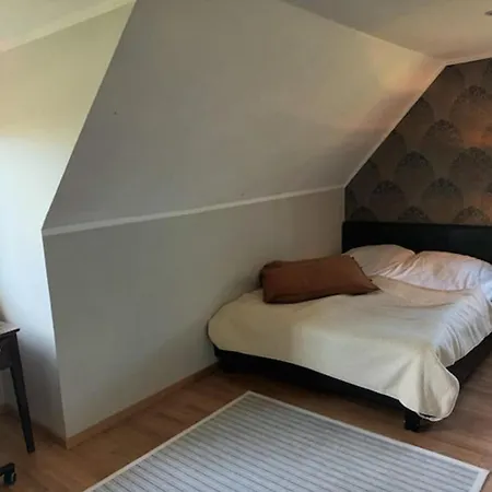 Cozy House With